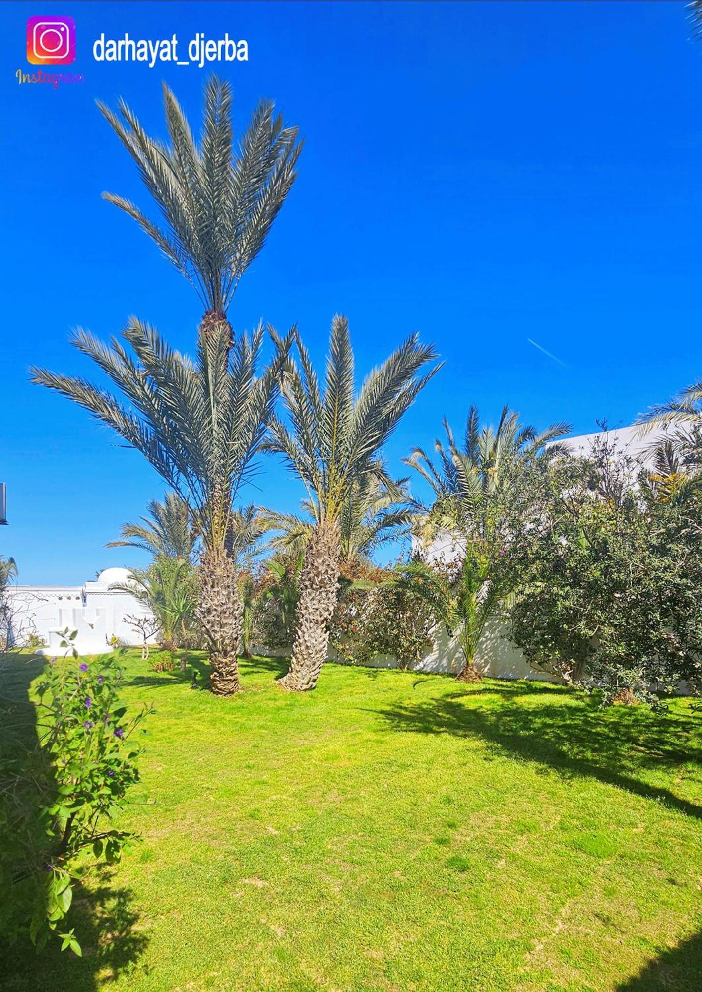 Dar Hayat Villa Triffa Kültér fotó